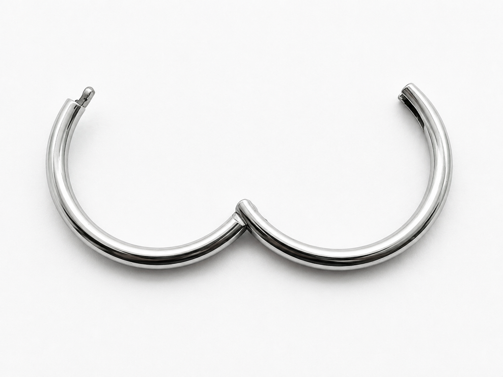 PAIR (2 hoops) – Titanium Sleeper Hoops