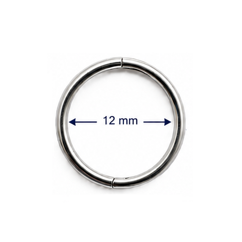 SINGLE HOOP – Titanium Sleeper Hoop￼
