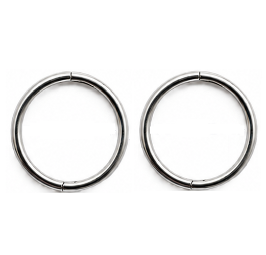PAIR (2 hoops) – Titanium Sleeper Hoops