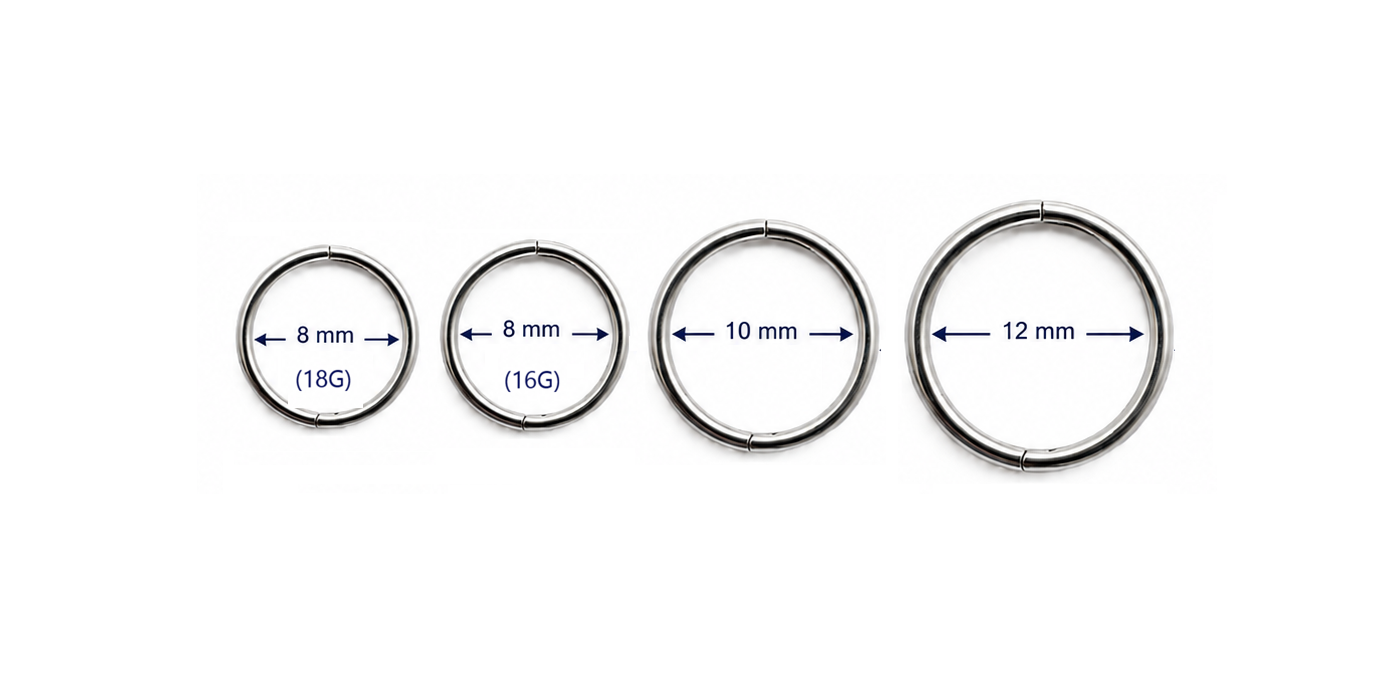 PAIR (2 hoops) – Titanium Sleeper Hoops