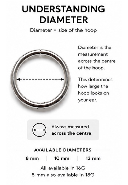 PAIR (2 hoops) – Titanium Sleeper Hoops