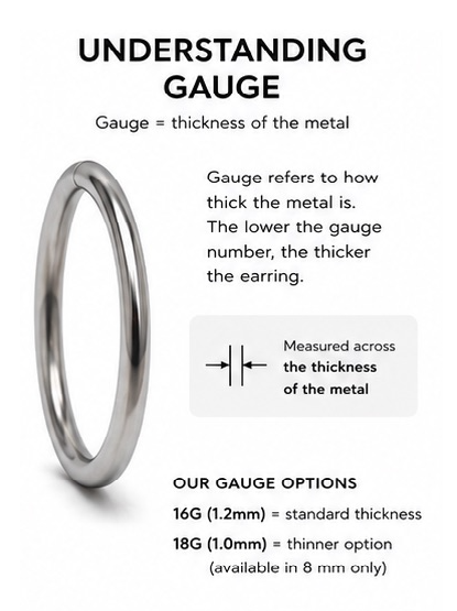 PAIR (2 hoops) – Titanium Sleeper Hoops