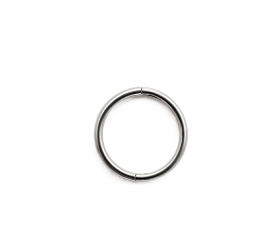SINGLE HOOP – Titanium Sleeper Hoop￼